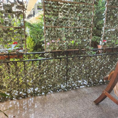 فندق D&H Năvodari المظهر الخارجي الصورة